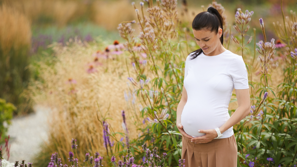 Beyond Vitamin C: Why a Strong Immune System is Your Secret Fertility Weapon